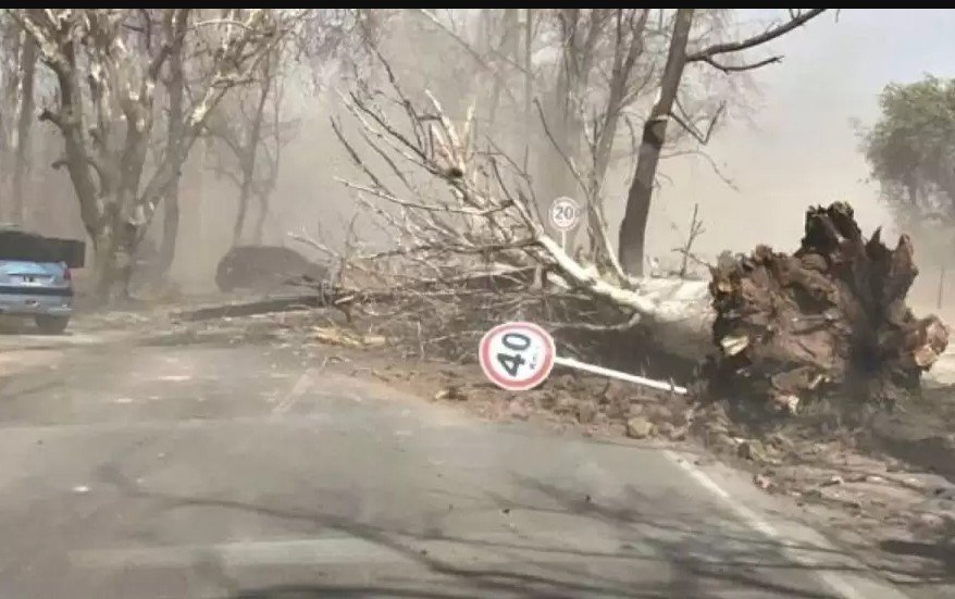 El Zonda dejó una víctima fatal y más de 400 emergencias en Mendoza